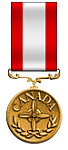 Canadian Convention Medal 
Organizer - 1 Con