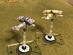 Nieuport 11's Russian and French vesions