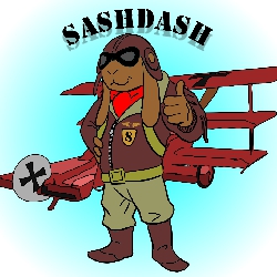 Sashdash's Avatar