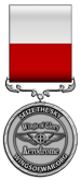 2013 Lend-Lease Participant Medal