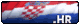 Users Country Flag